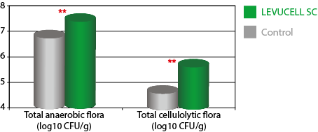 graph showing the increase of total cellulolytic flora with levucell sc