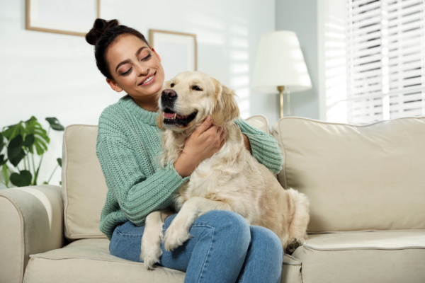 Emotions, body language and mood: how well do you know your dog?